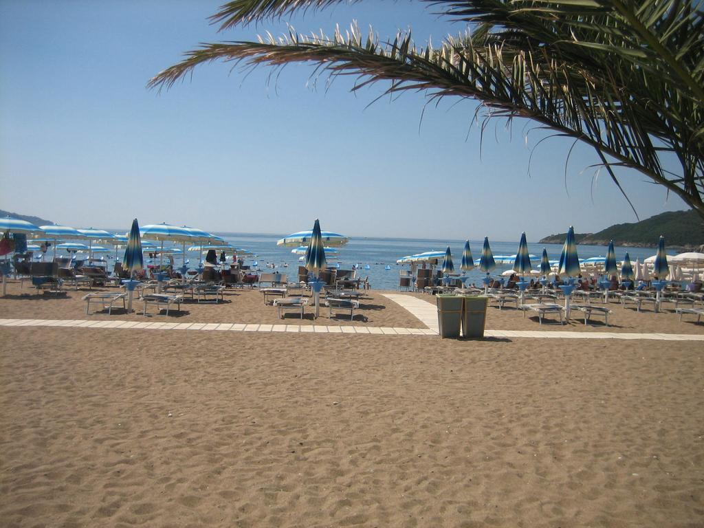 Mitko Budva