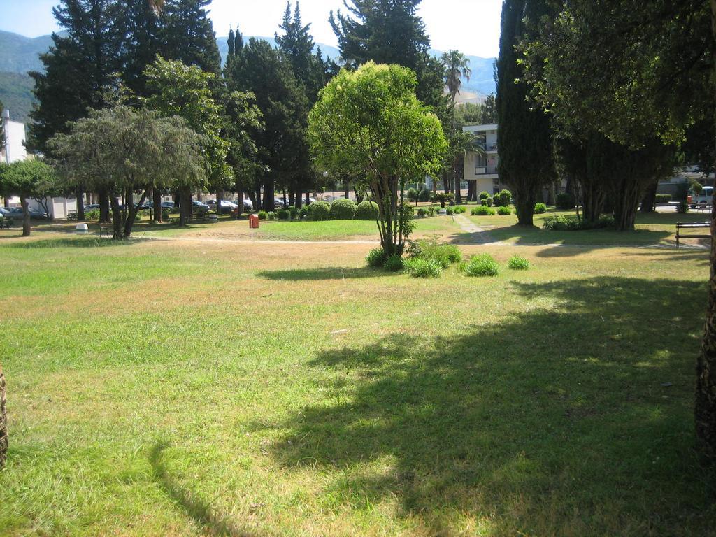 Mitko Budva