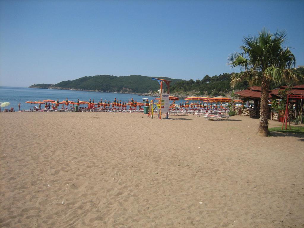 Daire Mitko Budva