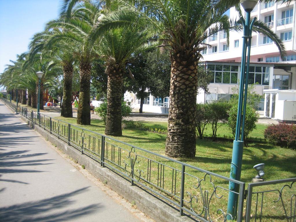 Apartment Mitko *
